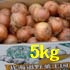 5kg特別栽培淡路島の新玉葱